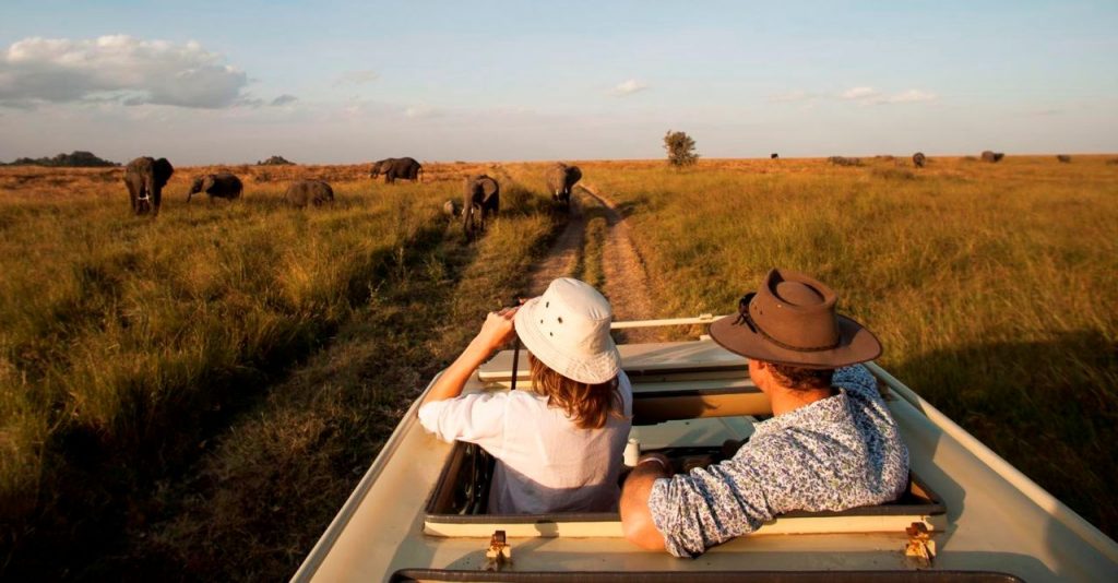 serengeti wildlife expirience