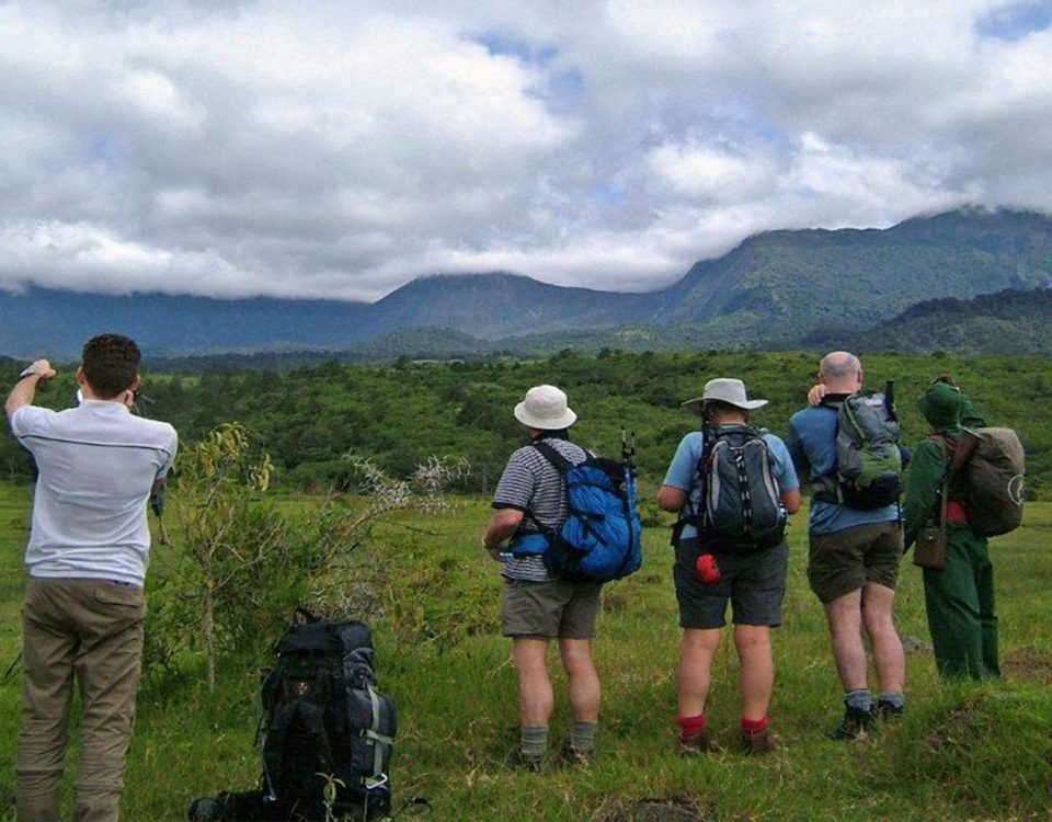 Arusha park Day tour safari