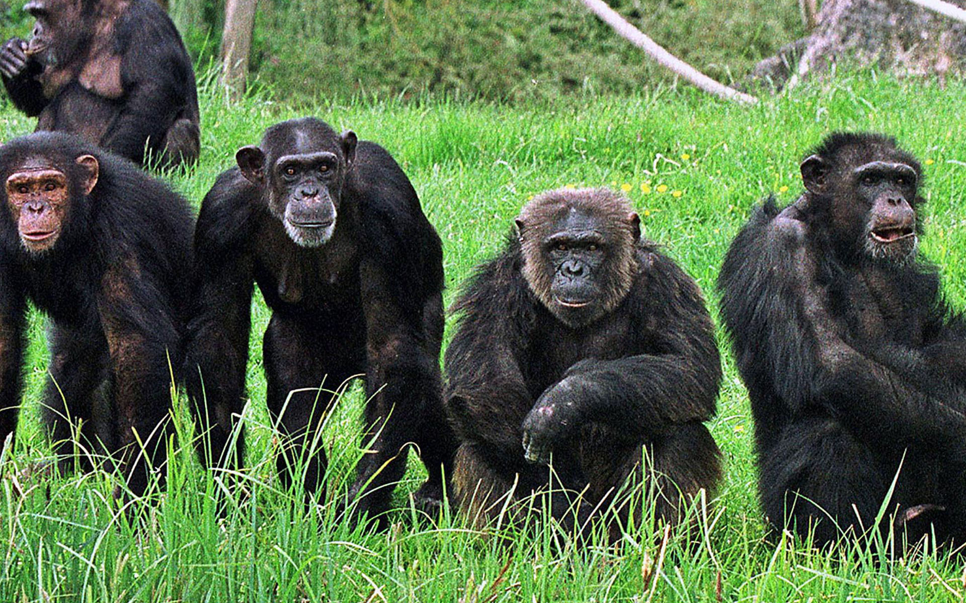 Gombe-Stream-National-Park