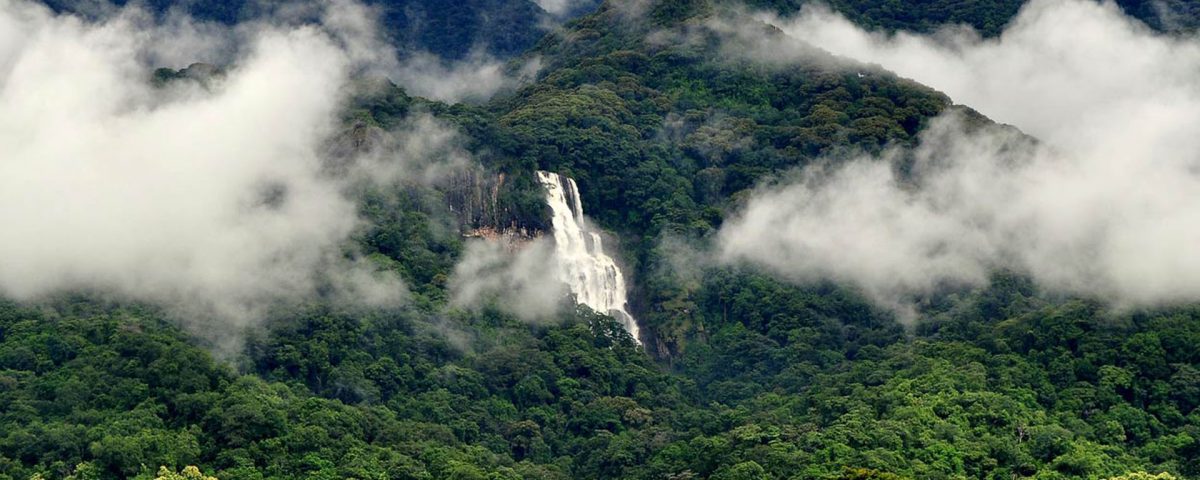 udzungwa mountains tanzania