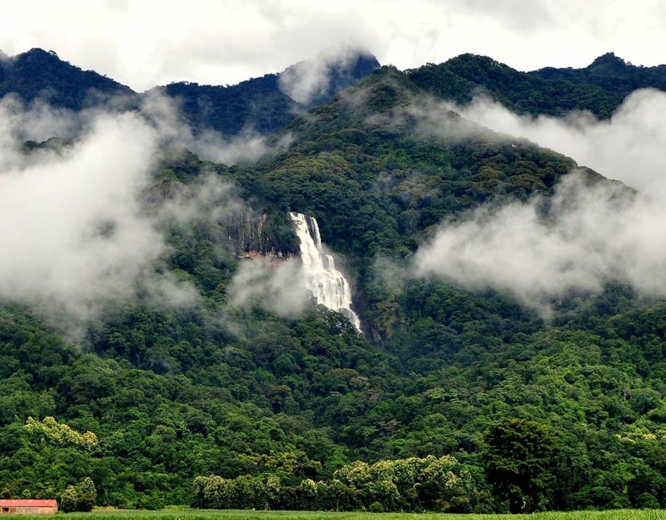udzungwa mountains tanzania