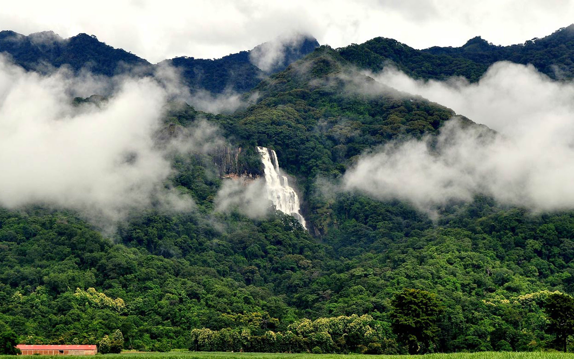 udzungwa mountains tanzania