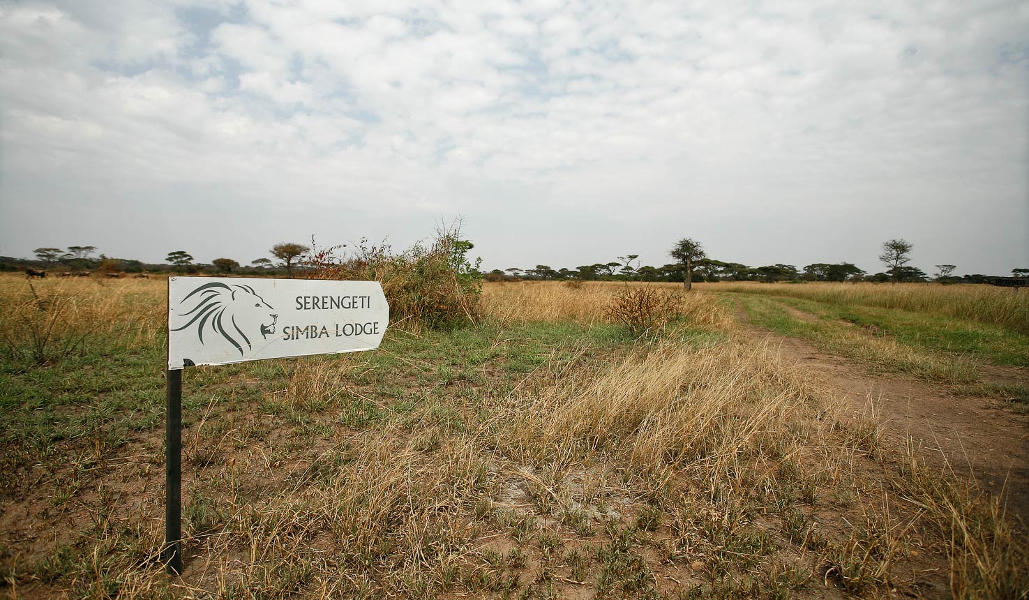 serengeti-simba-lodge