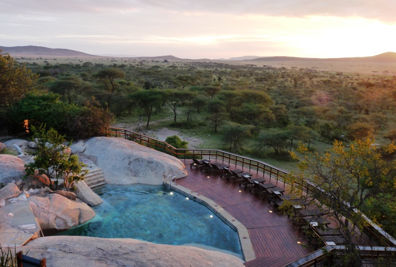 seronera wildlife safaris