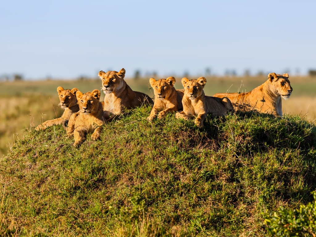 Luxury Tanzania Family Safari