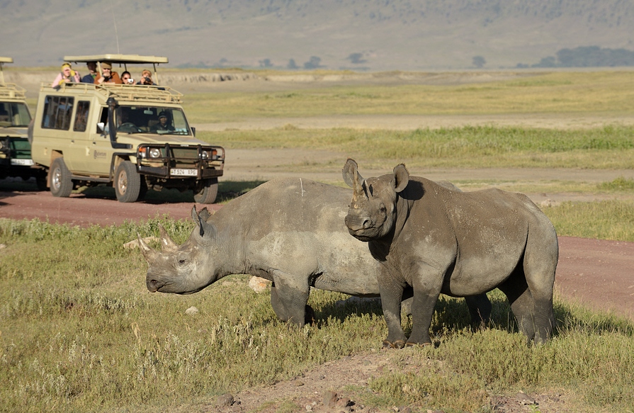 3 days tanzania safari
