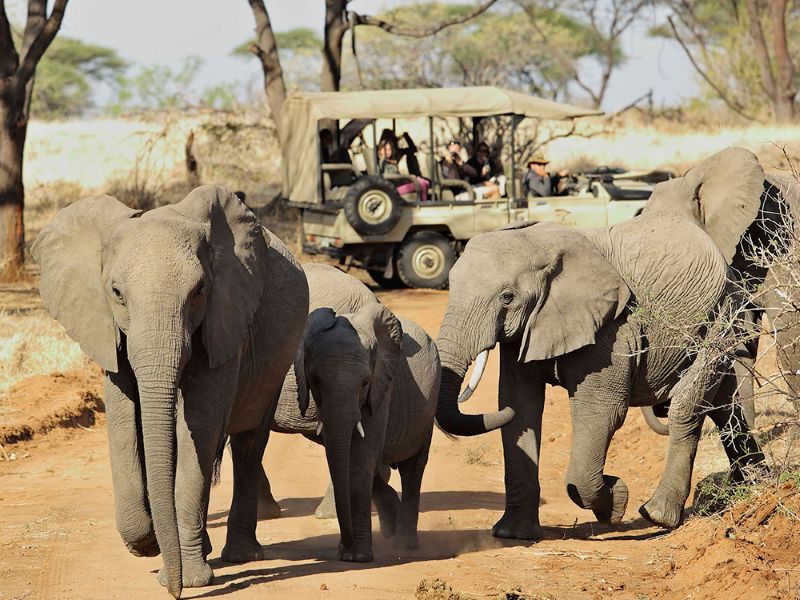 ruaha